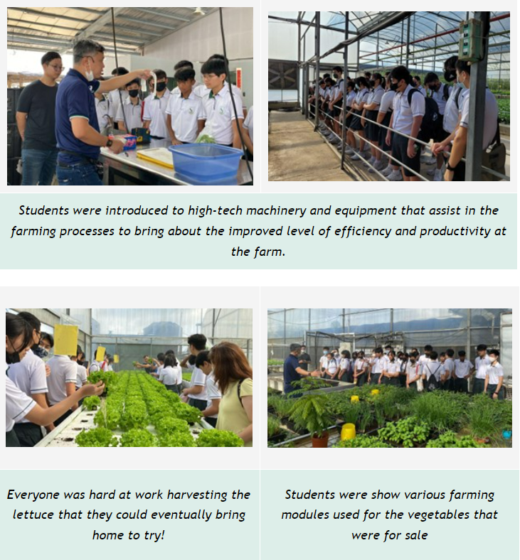 Students in school uniforms visit a farm, learning about farming equipment, harvesting lettuce, and viewing plant modules.